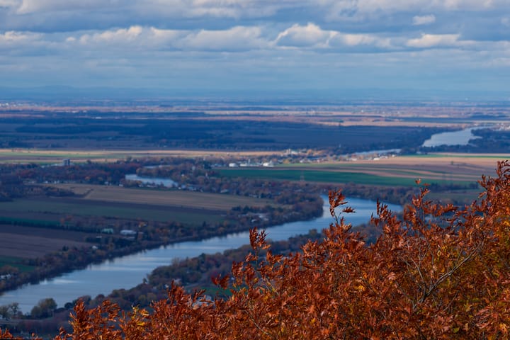 A Breath of Fresh Air: Photography and Fall Colours at Gault Nature Reserve